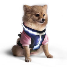 Load image into Gallery viewer, DC&#39;S REMOTE CONTROL LED PET HARNESS

